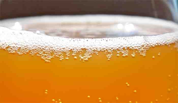 Cinque giorni alla scoperta delle birre della Franconia in Scurreria